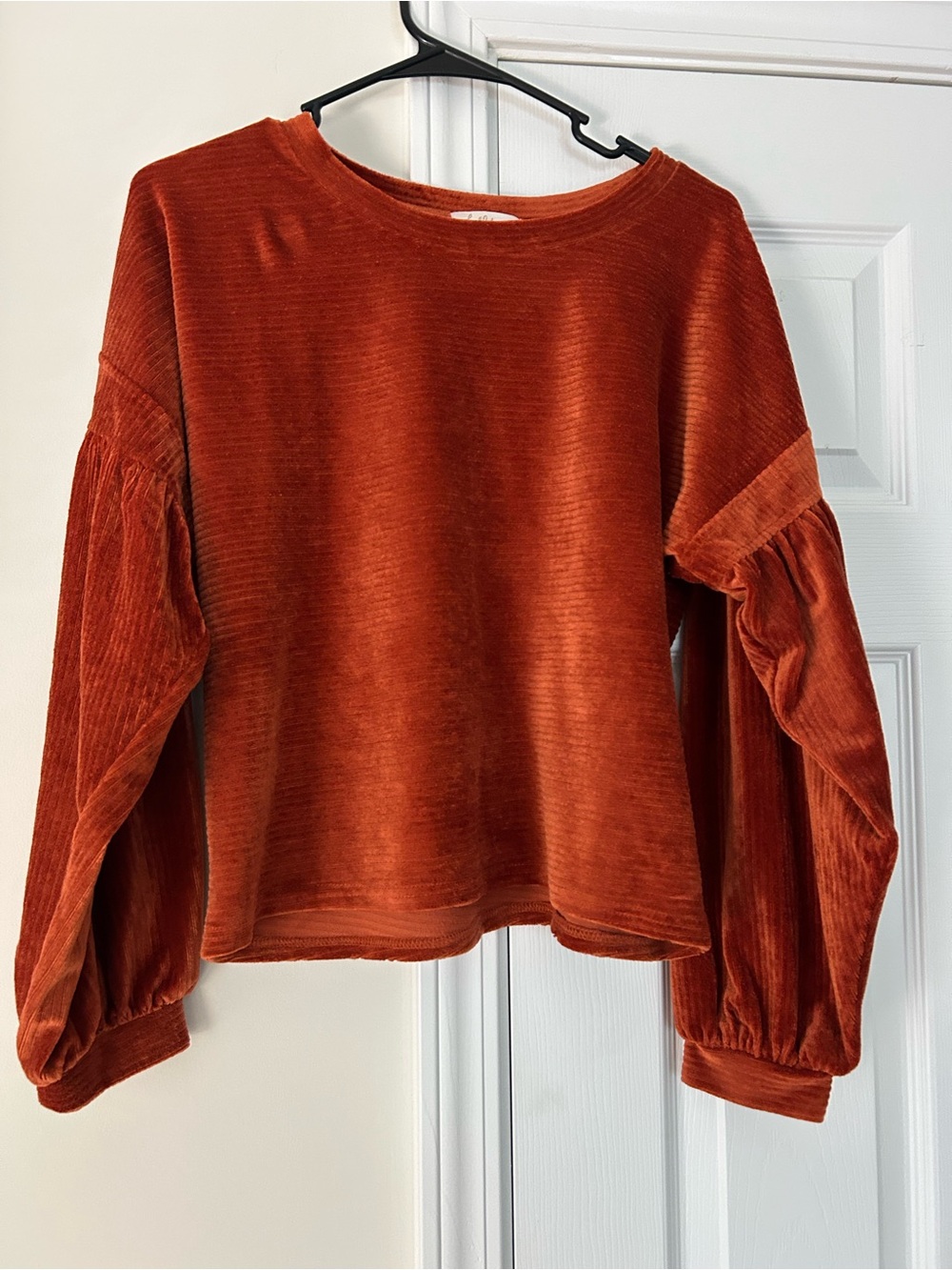 Velvet Balloon-Sleeve Women's Top in Rust